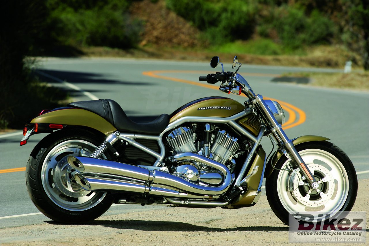 Big Harley-Davidson vrscaw v-rod picture and wallpaper from Bikez.com
